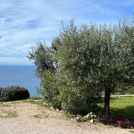 Stella D'Argento Bed & Breakfast Porto Santo Stefano  Exterior foto