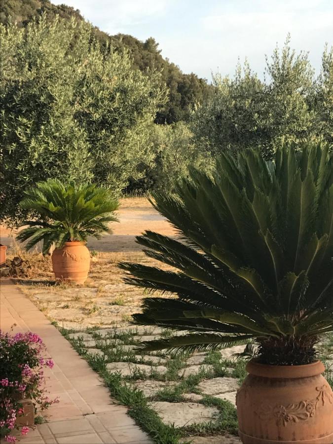 Stella D'Argento Bed & Breakfast Porto Santo Stefano  Exterior foto