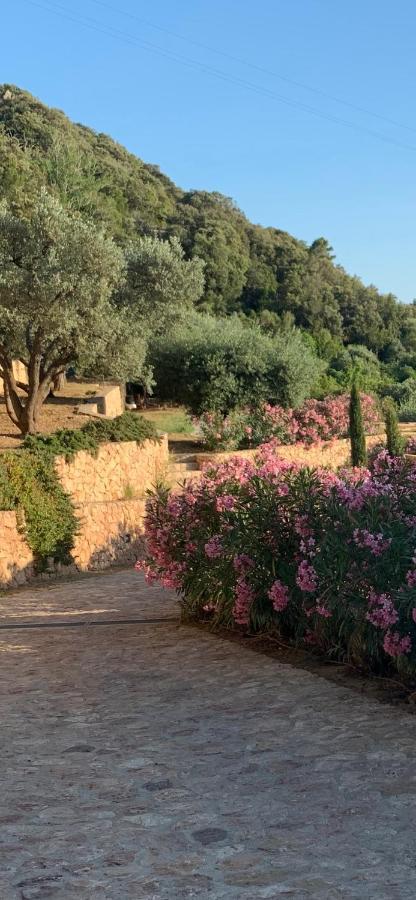 Stella D'Argento Bed & Breakfast Porto Santo Stefano  Exterior foto